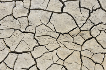 The parched soil