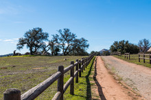 A Wooden Fence Along A Dirt Road Leading To A Copse Of Trees At Ramona Grasslands Preserve In San Diego, California.