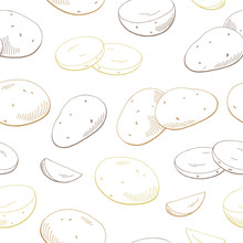 Potatoes Vegetable Graphic Color Seamless Pattern Sketch Illustration Vector