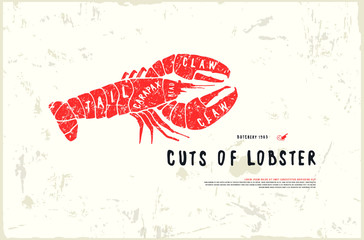 Stock vector lobster cuts diagram in the style of handmade graphics