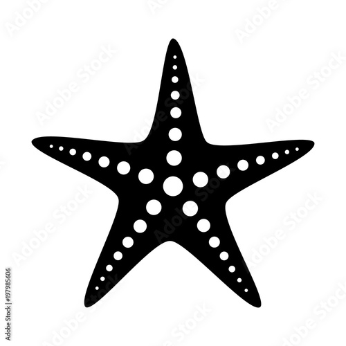 Cuadros en Lienzo Common starfish or sea star fish marine life flat vector icon for apps and websi
