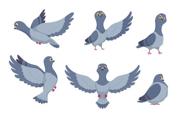 Canvas Print - Vector collection of cartoon pigeons