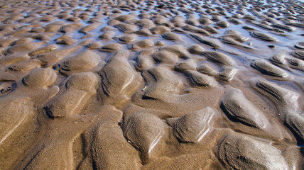 Poster - Perspective view of sand on a beach