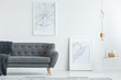 © Photographee.eu - Elegant sofa and map posters