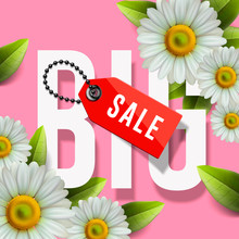 Big Sale Lettering Design Background With Daisy Flowers, Vector Illustration.