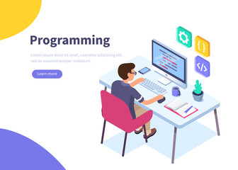Wall Mural - programmer