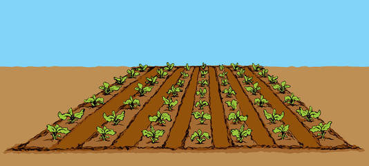 Poster - Garden beds. Vector drawing