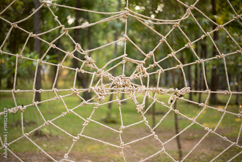 Fotografía Close up Rope tie make to Spider web gossamer on the park