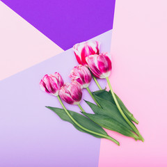 Wall Mural - bouquet of tulips on a purple background