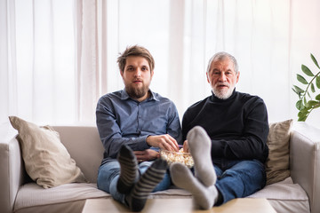 Wall Mural - Hipster son and his senior father with laptop at home.