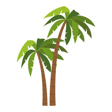 Tree Palms Cartoons Vector Illustration Graphic Design