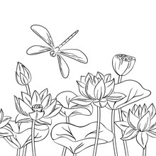 Vector Contour Dragonfly Insect Lotus Flower On White Childish Coloring Book Seamless Pattern