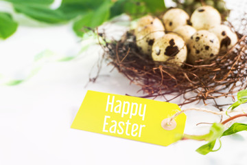 Happy Easter! Easter greeting card. quail eggs in the nest.