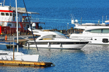 Wall Mural - Motor yacht in jetty