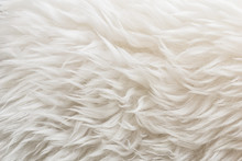 White Soft Wool Texture Background, Cotton Wool, Light Natural Sheep Wool, Close-up Texture Of White Fluffy Fur,  Wool With Beige Tone, Fur With A Delicate Peach Tint