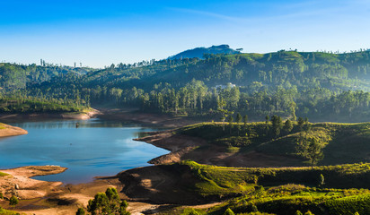 Poster - Castlereigh reservoir and surrounded tea plantations in sri lanka