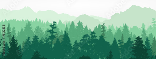 Forest silhouette, vector i...