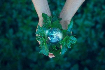 earth day, saving energy concept, hand holding earth on green leaf against nature in green park. sav