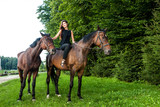 Fototapeta Konie - Pretty young woman riding a brown horse