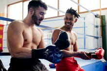 Fit Men Putting On Boxing Gloves And Talking