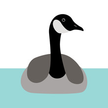 Goose  Vector Illustration Flat Style  Front  Side