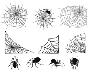 Wall Mural - Spiders vector web silhouette spooky spider nature halloween element cobweb decoration fear spooky net.