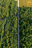 Fototapeta  - Napowietrzny widok z góry na drogę w lesie