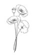Flat single poppy on white background. Summer or spring illustration of poppy flower.