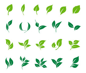 Wall Mural - Leaves icon vector set. Ecology icon set.