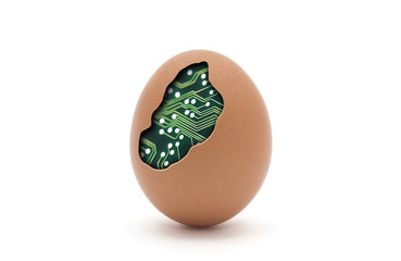 Computer egg isolated on white with clipping path