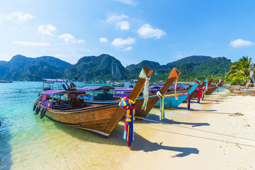 Wall Mural - harbor on ton sai bay, phi phi islands, andaman sea, thailand