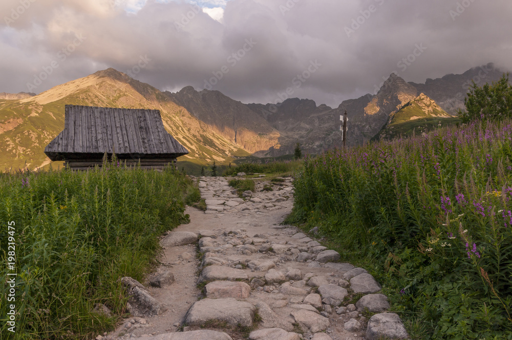 Summer view of the Gasienicowa Valley. Tatra Mountains. Poland. - obrazy, fototapety, plakaty 