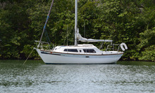 Small Sailboat Anchored By Natural Shoreline With Trees And Foliage.