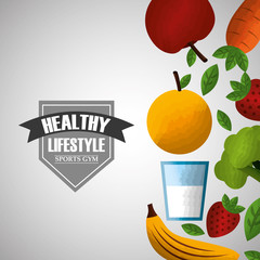 Wall Mural - healthy lifestyle sport gym fresh nutrition food vector illustration
