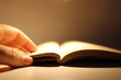 © Zira - Hand auf Buch