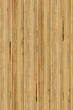 seamless texture of  plywood side section