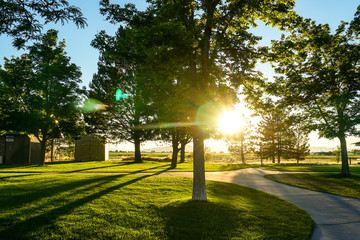 Poster - sunlight through trees