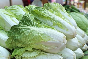 Chinese cabbage at market