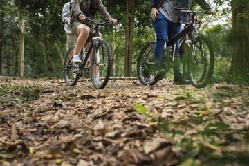 Poster - Group of friends ride mountain bike in the forest together