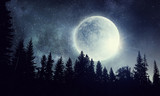 Fototapeta  - Full moon in sky