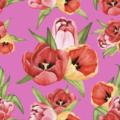 Poster - Hand drawn tulip flower isolated