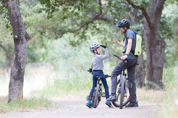 Wall Mural - family biking in the park