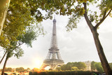 Fototapeta Paryż - Romantic sunset background. Eiffel Tower over the trees in Paris, France.