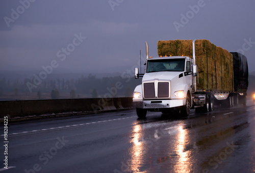 Powerful Day Cab Big Rig Semi Truck Transporting Pressed Hay On