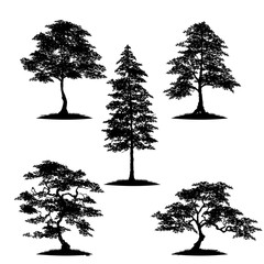 Wall Mural - Collection tree silhouette isolated on white background.