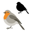 robin bird vector illustration flat style  silhouette