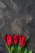 Red tulips top view with copy space.