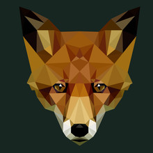 Vector Polygonal Fox Head. Low Poly Animal Illustration. Triangle Color Image.