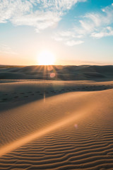 Wall Mural - sunset view in the middle of the desert.