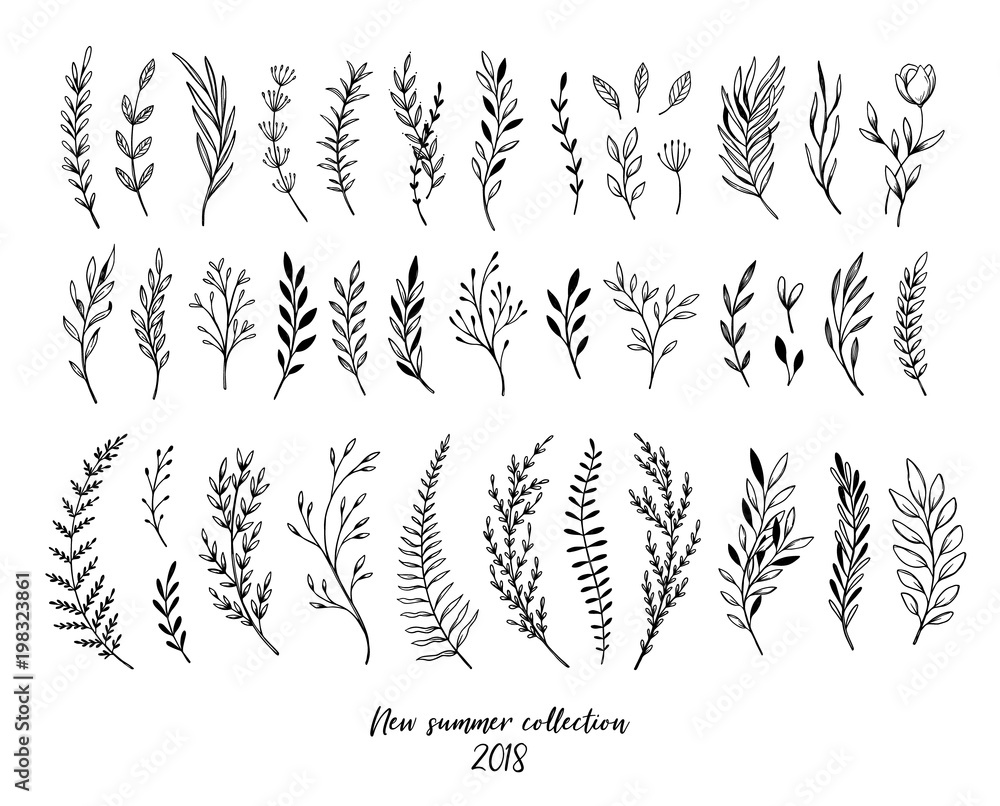 Hand sketched vector floral elements ( leaves, flowers, swirls and branches). Botanical illustrations. Perfect for wedding invitations, greeting cards, quotes, blogs, Frames - obrazy, fototapety, plakaty 